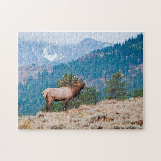 Elch (Cervus Elephus) Bull röhrt Puzzle (Horizontal)