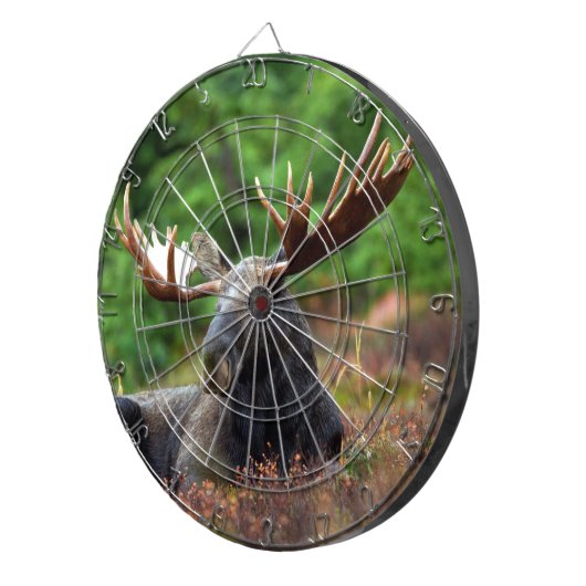 Elch Dartscheibe (Vorderseite rechts)