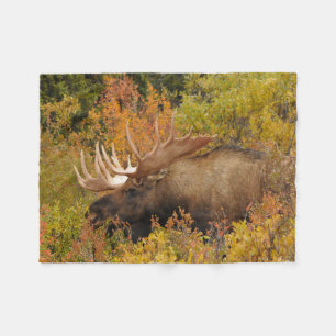 Elch Denali-Nationalpark, Alaska Fleecedecke