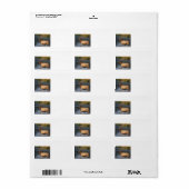 Elch, der im Wasser spritzt Adressaufkleber (Vorne)