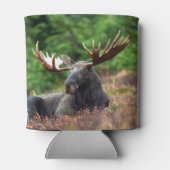 Elch Dosenkühler (Rückseite)