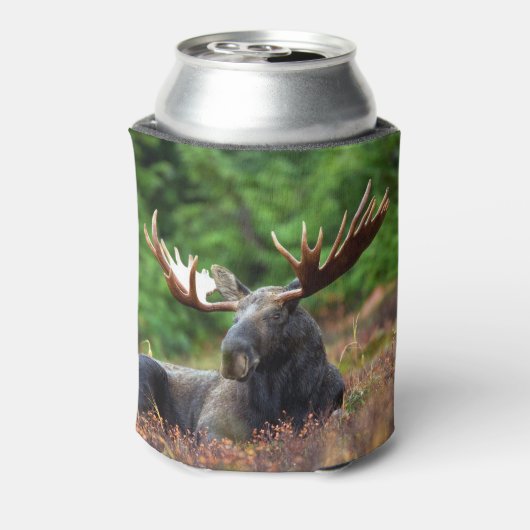 Elch Dosenkühler (Kanne Rückseite)