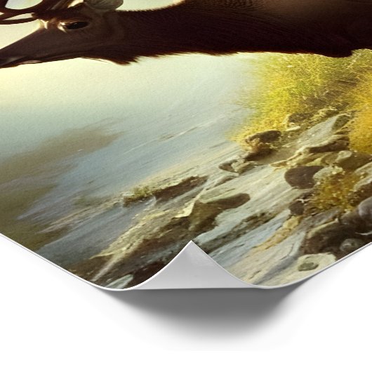 Elch durch einen Wald Stream digitale Kunstdrucke Poster (Ecke)