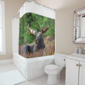 Elch Duschvorhang (Beispiel)