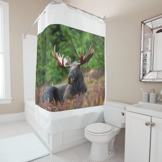 Elch Duschvorhang (Beispiel)