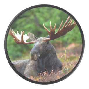 Elch Eishockey Puck