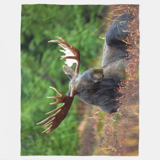 Elch Fleecedecke (Vorderseite)