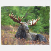 Elch Fleecedecke (Vorderseite (Horizontal))