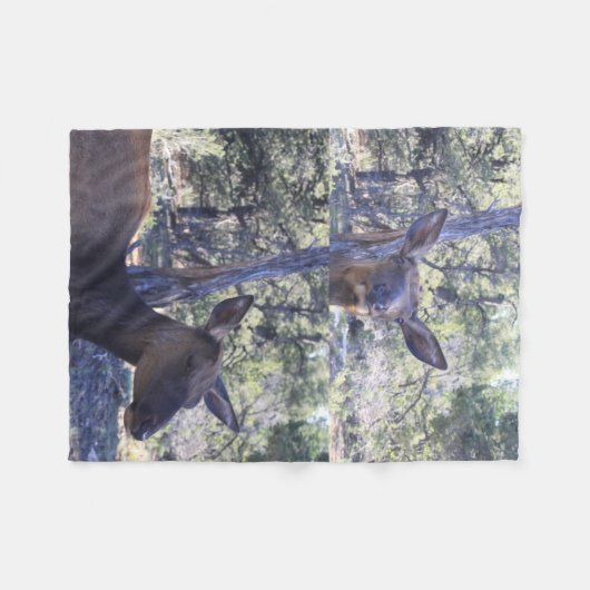 Elch Fleecedecke (Vorderseite (Horizontal))