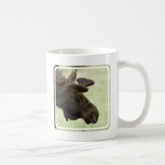Elch-Foto-Kaffee-Tasse Kaffeetasse (Rechts)