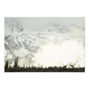 Elch-Fotografie im Grand Teton National Park Fotodruck