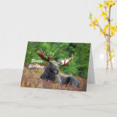 Elch Geburtstag Karte (Gelbe Blume)