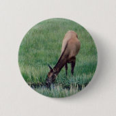 Elch - Gelbstein Button (Vorderseite)