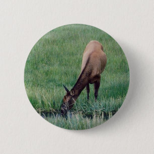 Elch - Gelbstein Button