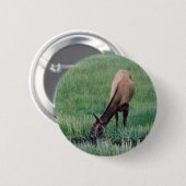 Elch - Gelbstein Button (Vorne & Hinten)