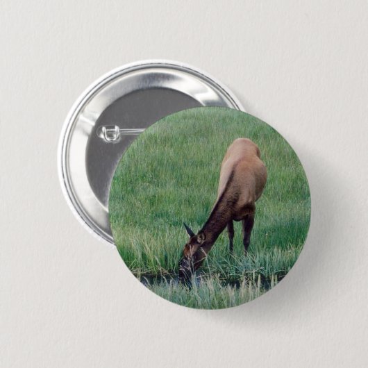 Elch - Gelbstein Button (Vorne & Hinten)