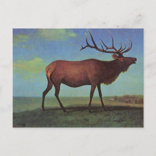 Elch-Gemälde Postkarte (Vorderseite)