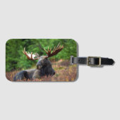 Elch Gepäckanhänger (Vorderseite (Horizontal))
