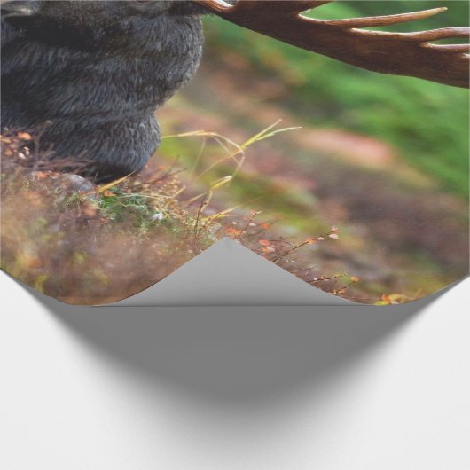 Elch Geschenkpapier (Ecke)