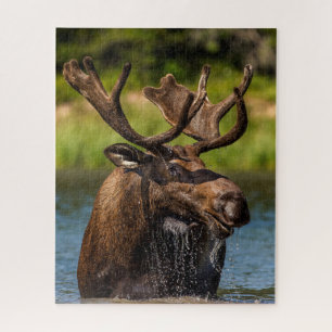 Elch Glacier-Nationalpark Montana Puzzle