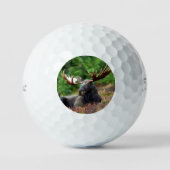 Elch Golfball (Vorderseite)
