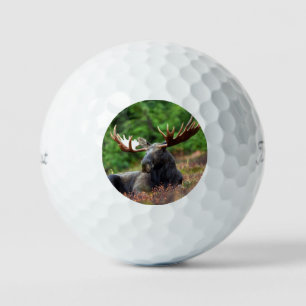 Elch Golfball