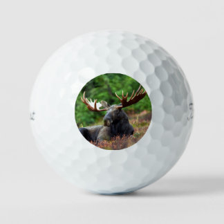 Elch Golfball