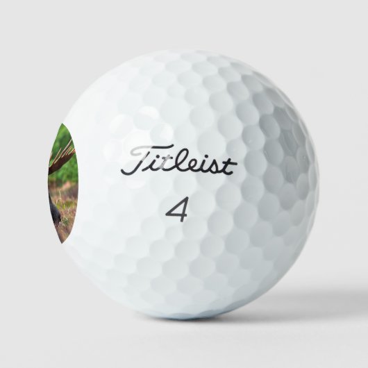 Elch Golfball (Logo)