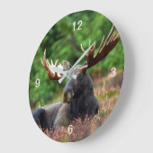 Elch Große Wanduhr (Winkel)