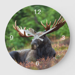 Elch Große Wanduhr
