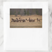 Elch Herd Rectangle Aufkleber (Tasche)