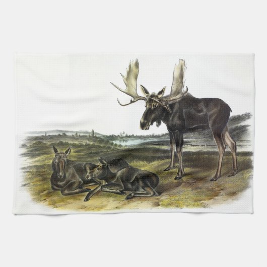 Elch Hirsch (Elch - Alzen Alzen) von Audubon Geschirrtuch (Horizontal)