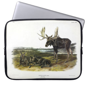 Elch Hirsch (Elch - Alzen Alzen) von Audubon Laptopschutzhülle