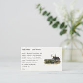 Elch Hirsch (Elch - Alzen Alzen) von Audubon Visitenkarte (Stehend Vorderseite)