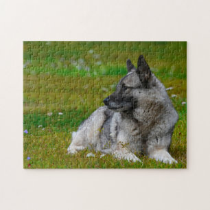Elch-Hund. Puzzle