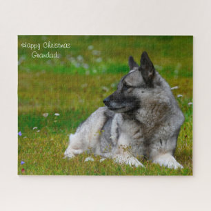 Elch-Hund. Puzzle
