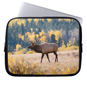Elch im Rocky Mountain National Park, Colorado Laptopschutzhülle