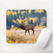 Elch im Rocky Mountain National Park, Colorado Mousepad (Mit Mouse)