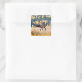 Elch im Rocky Mountain National Park, Colorado Quadratischer Aufkleber (Tasche)
