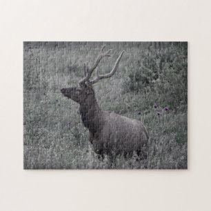 Elch im Rocky Mountain National Park Puzzle