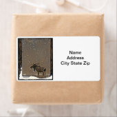 Elch im Schnee (Insitu)