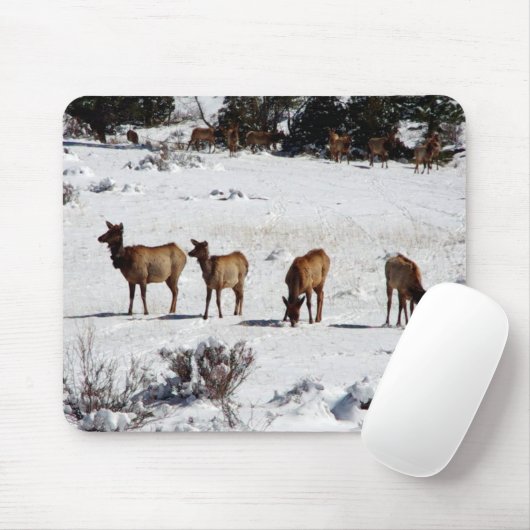 Elch im Schneemopad Mousepad (Mit Mouse)