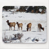 Elch im Schneemopad Mousepad (Vorne)
