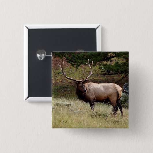 Elch im Wilden Button (Vorne & Hinten)