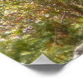 Elch in den Rocky Mountains Poster (Ecke)