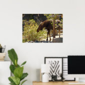 Elch in den Rocky Mountains Poster (Heimbüro)