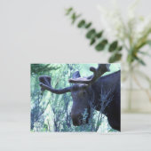 Elch in Jackson Hole, Wyoming Postkarte (Stehend Vorderseite)