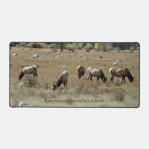 Elch in Rocky Mountain National Park Schreibtisch Schreibtischunterlage