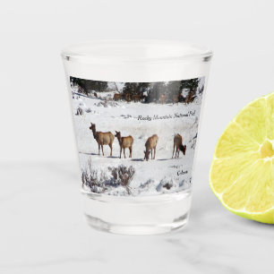 Elch in Schneeglas Schnapsglas