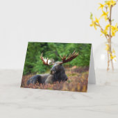 Elch Karte (Gelbe Blume)